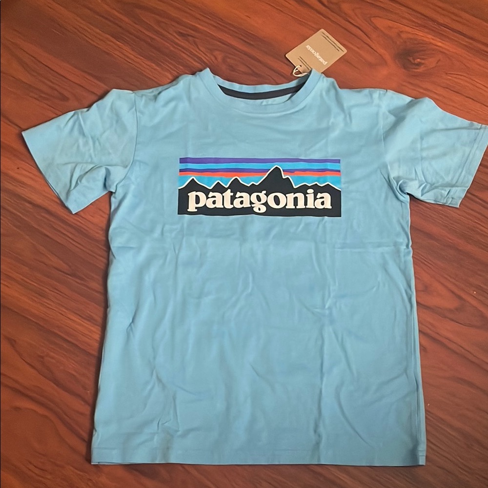 New Kids Patagonia Organic certified cotton P-6 logo T-shirt Blue L(12)